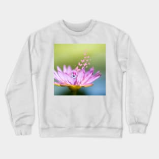 Aesthetic Flower and Butterflies Crewneck Sweatshirt